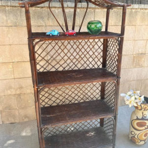 F05 ספרייה קש וינטאג'